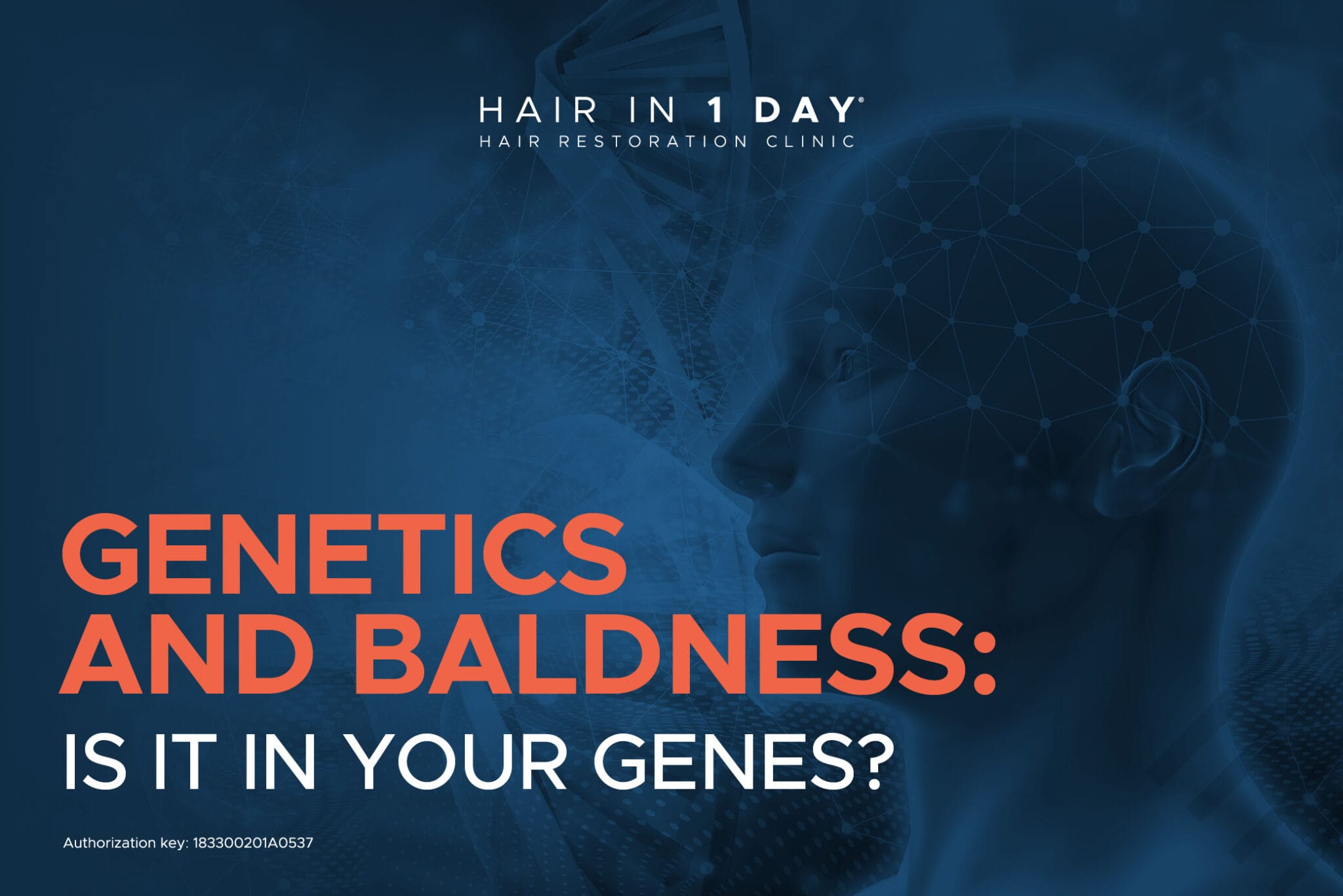 GENETICS AND BALDNESS: IS IT IN YOUR GENES? - Hair in 1 Day